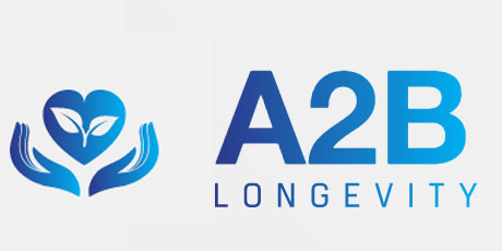 A2B logo