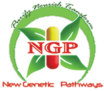 NGP logo